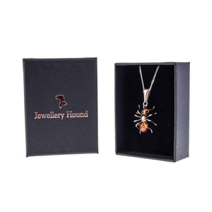 Vintage Silver and Amber Spider Pendant and Chain in a Jewellery Hound Box